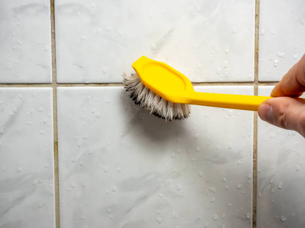Professional Mold Remediation in Brookville, IN