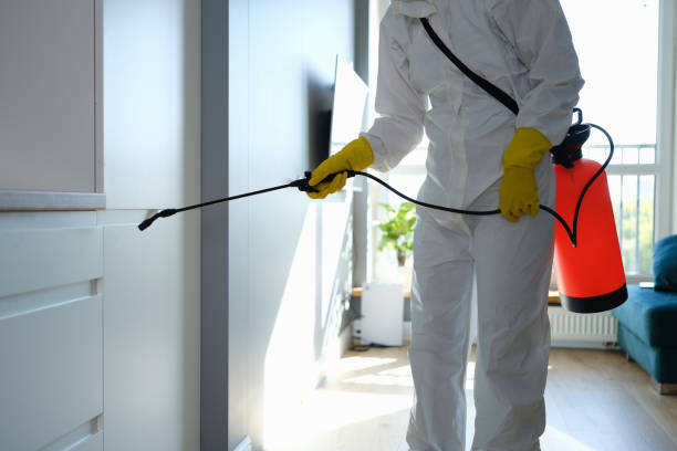 Best Health and Safety Mold Remediation in Brookville, IN